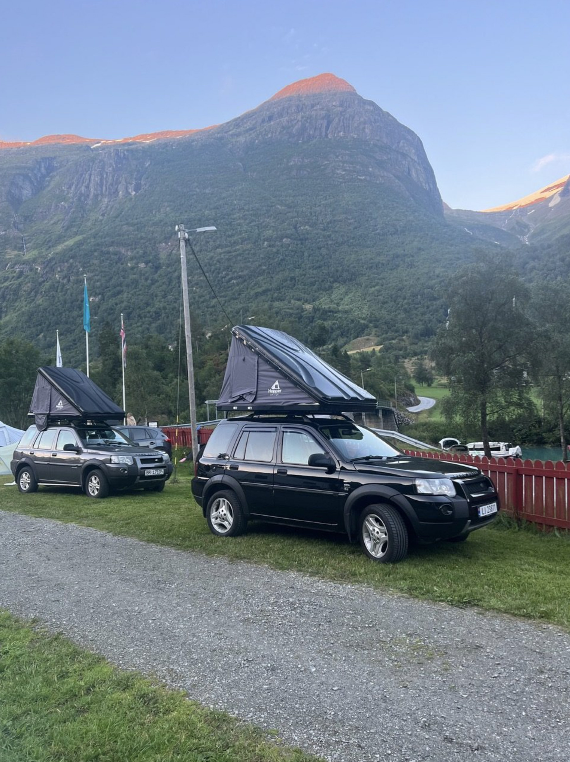Freelander Anett
